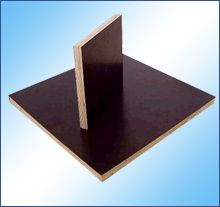 門窗 建筑的詩眼與家的守護(hù)者